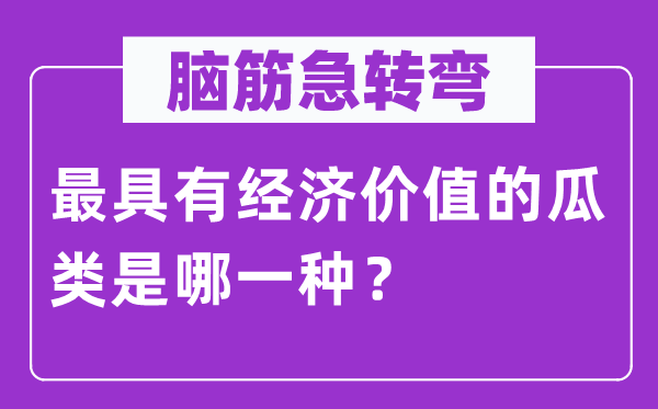 脑子急转弯:最具备经济代价的瓜类是哪种?