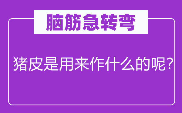 脑子急转弯：猪皮是用来作甚么的呢？