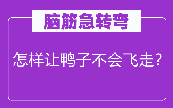 脑子急转弯：若何让鸭子不会飞走？