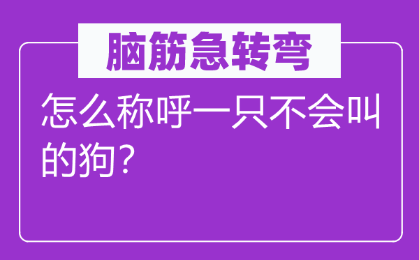 脑子急转弯：怎样称号一只不会叫的狗？