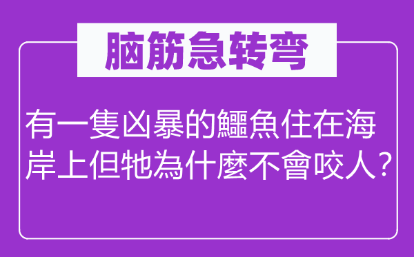脑子急转弯:有一隻泼辣的鱷魚住在海岸上但牠為什麼不會咬人?