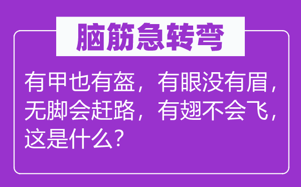 脑子急转弯：有甲也有盔，有眼不眉，无脚会赶路，有翅不会飞，这是甚么？