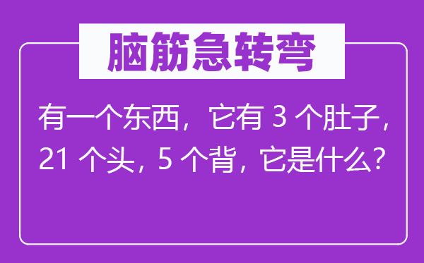 脑子急转弯：有一个东西，它有3个肚子，21个头，5个背，它是甚么？