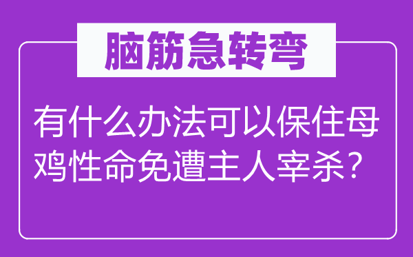 脑子急转弯：有甚么方式能够保住母鸡人命免遭仆人宰杀？