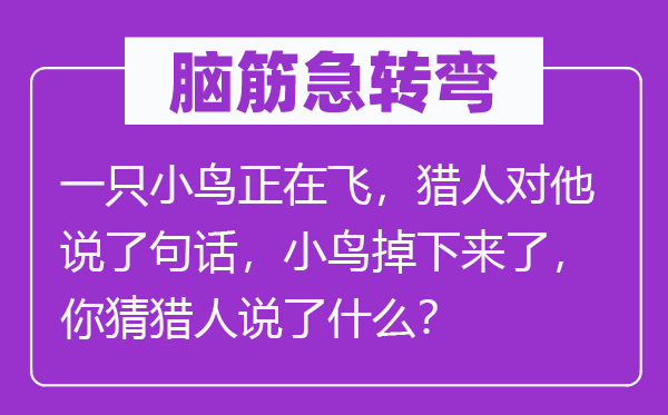 脑子急转弯：一只小鸟正在飞，猎人对他说了句话，小鸟掉上去了，你猜猎人说了甚么？