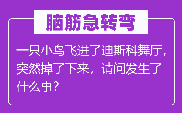 脑子急转弯：一只小鸟飞进了迪斯科舞厅，俄然掉了上去，叨教产生了甚么事？