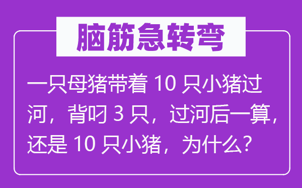 脑子急转弯：一只母猪带着10只小猪过河，背叼3只，过河后一算，仍是10只小猪，为甚么？