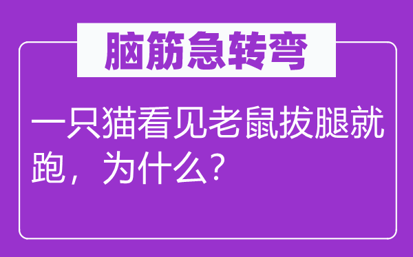 脑子急转弯：一只猫瞥见老鼠拔腿就跑，为甚么？