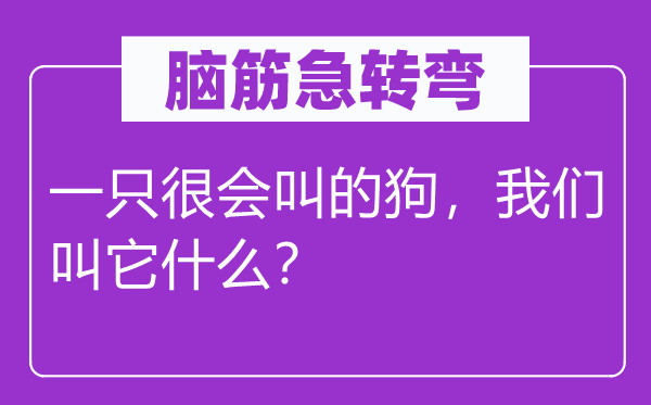脑子急转弯：一只很会叫的狗，咱们叫它甚么？