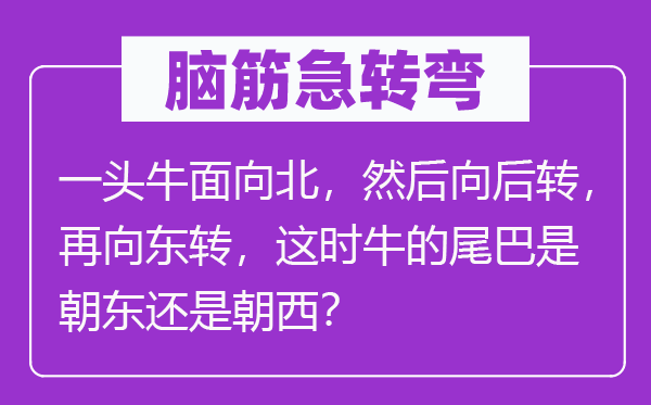 脑子急转弯：一头牛面向北，而后向后转，再向东转，这时候候候候候候候牛的尾巴是朝东仍是朝西？