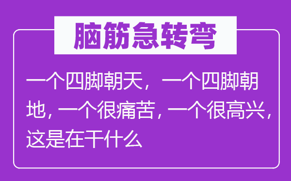 脑子急转弯:一个仰面朝天,一个四脚朝地,一个很痛苦,一个很欢快,这是在干甚么