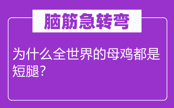 脑子急转弯：为甚么全天下的母鸡都是短腿？