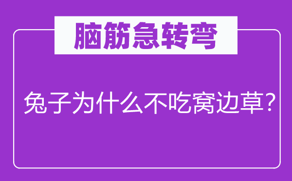 脑子急转弯：兔子为甚么不吃窝边草？