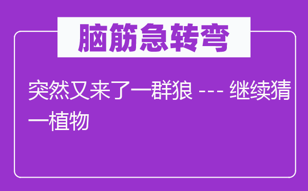 脑子急转弯：俄然又来了一群狼---持续猜一动物