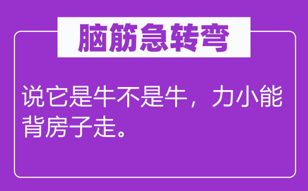 脑子急转弯：说它是牛不是牛，力小能背屋子走。