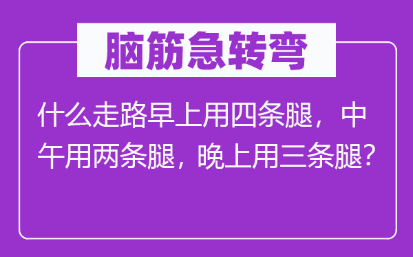 脑子急转弯：甚么走路早上用四条腿，午时用两条腿，早晨用三条腿？
