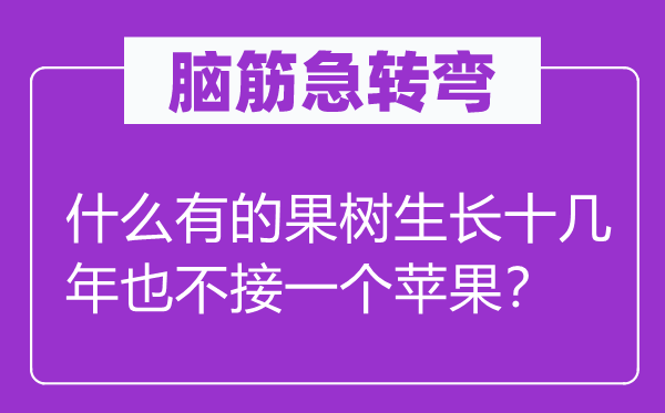 脑子急转弯：甚么有的果树发展十几年也不接一个苹果？