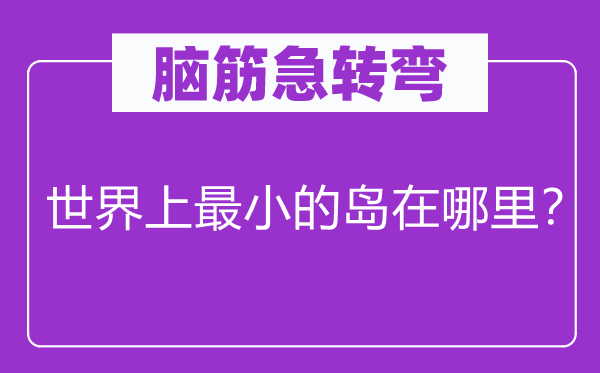 脑子急转弯：天下上最小的岛在那里？