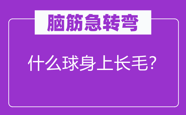 脑子急转弯：甚么球身上长毛？