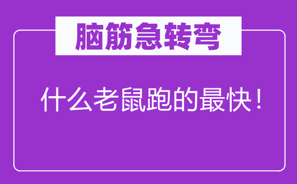脑子急转弯：甚么老鼠跑的最快！