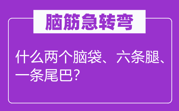 脑子急转弯：甚么两个脑壳、六条腿、一条尾巴？