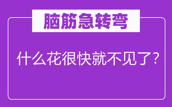 脑子急转弯：甚么花很快就不见了？