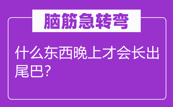脑子急转弯：甚么东西早晨才会长出尾巴？