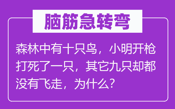 脑子急转弯：丛林中有十只鸟，小明开枪打死了一只，别的九只却都不飞走，为甚么？