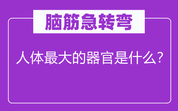脑子急转弯：人体最大的器官是甚么？