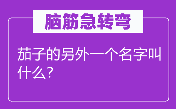 脑子急转弯：茄子的别的一个名字叫甚么？