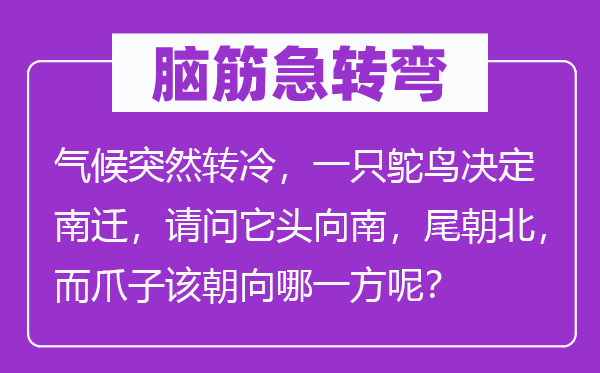 脑子急转弯:天气俄然转冷,一只鸵鸟决议南迁,叨教它头向南,尾朝北,而爪子该朝向哪一方呢?