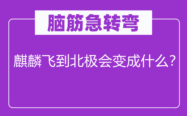 脑子急转弯：麒麟飞到北极会变成甚么？