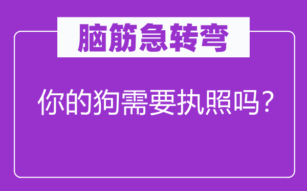 脑子急转弯：你的狗须要执照吗？