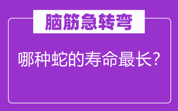脑子急转弯：哪一种蛇的寿命最长？