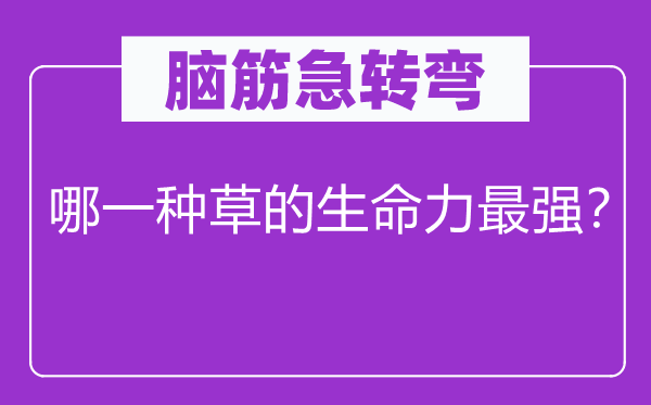 脑子急转弯：哪种草的性命力最强？