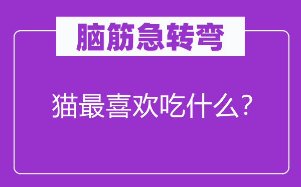 脑子急转弯：猫最喜好吃甚么？
