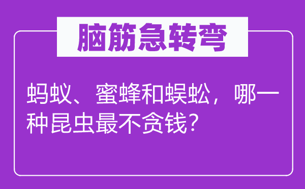 脑子急转弯：蚂蚁、蜜蜂和蜈蚣，哪种虫豸最不贪钱？