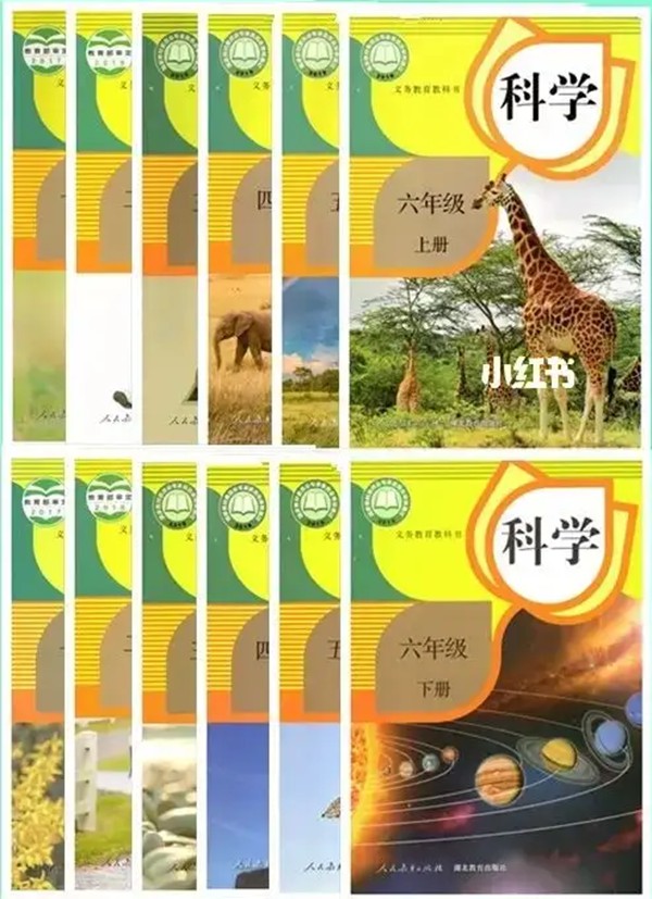 全套人教鄂教版小学迷信电子讲义讲义大全(PDF电子版)