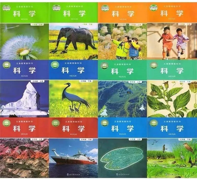 全套教科版小学迷信电子讲义讲义大全（PDF电子版）