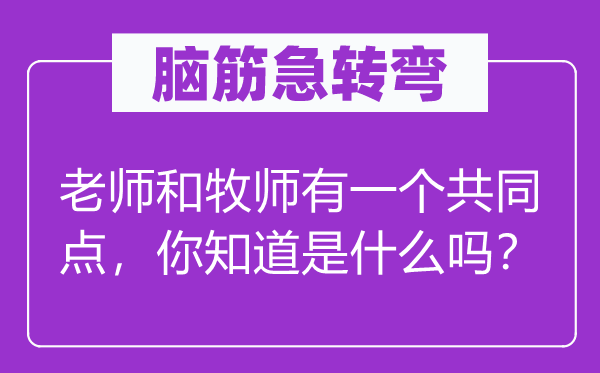脑子急转弯：教员和牧师有一个配合点，你晓得是甚么吗？