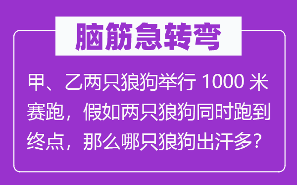 脑子急转弯：甲、乙两只狼狗进行1000米竞走，假设两只狼狗同时跑到起点，那末哪只狼狗出汗多？