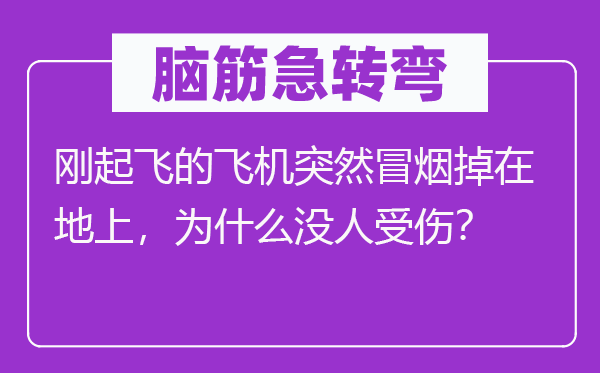脑子急转弯：刚腾飞的飞机俄然冒烟掉在地上，为甚么没人受伤？