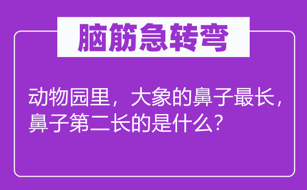脑子急转弯：植物园里，大象的鼻子最长，鼻子第二长的是甚么？