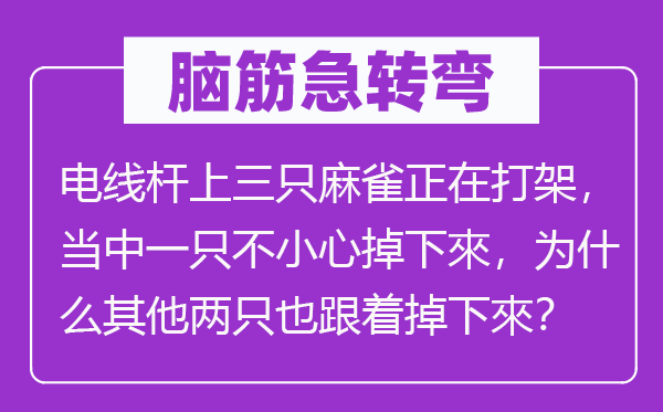 脑子急转弯:电线杆上三只麻雀正在打斗,傍边一只不谨慎掉下來,为甚么其余两只也随着掉下來?