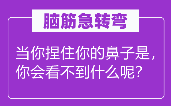 脑子急转弯:当你捏住你的鼻子是,你会看不到甚么呢?