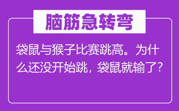 脑子急转弯:袋鼠与山公比赛跳高。为甚么还没起头跳,袋鼠就输了?