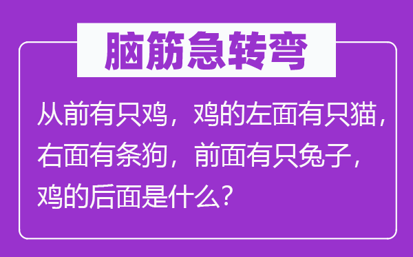 脑子急转弯:畴前有只鸡,鸡的左面有只猫,左面有条狗,前面有只兔子,鸡的前面是甚么?