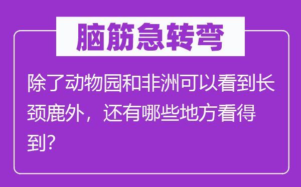 脑子急转弯:除植物园和非洲能够看到长颈鹿外,另有哪些处所看获得?