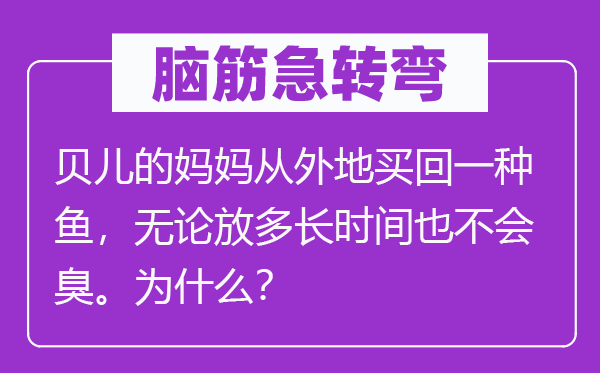 脑子急转弯:贝儿的妈妈从外埠买回一种鱼,不管放多永劫间也不会臭。为甚么?