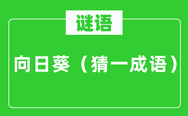 谜语：向日葵（猜一针言）